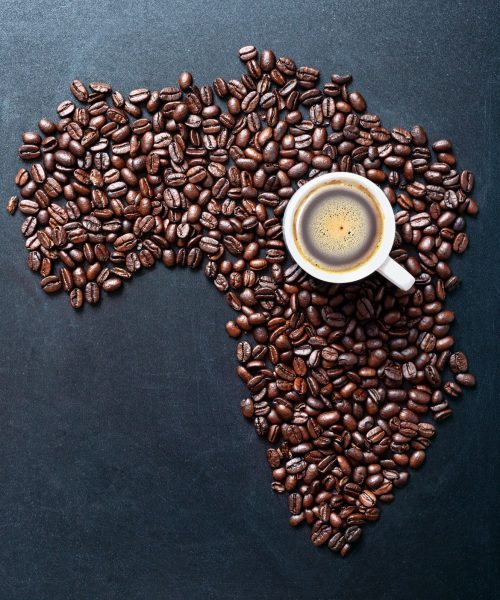 Roasted coffe beans shaping Map of the Africa on blackboard with cup of coffee